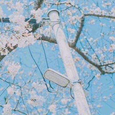 魔剑侠缘果盘游戏下载